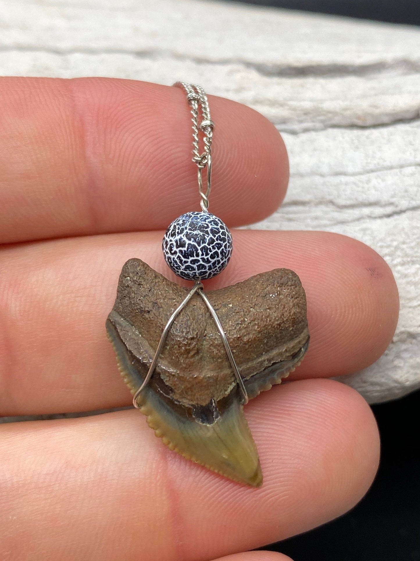Tiger Shark Necklace, Shark Tooth Necklace, Fossil Shark Tooth Necklace