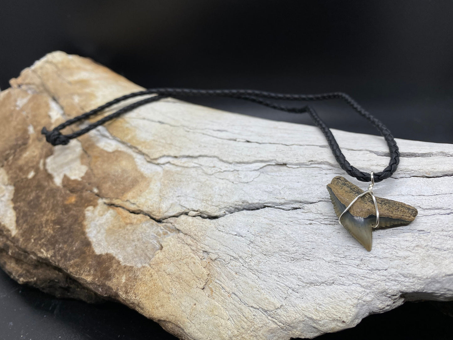 Tiger Shark Necklace, Shark Tooth Necklace, Fossil Shark Tooth Necklace