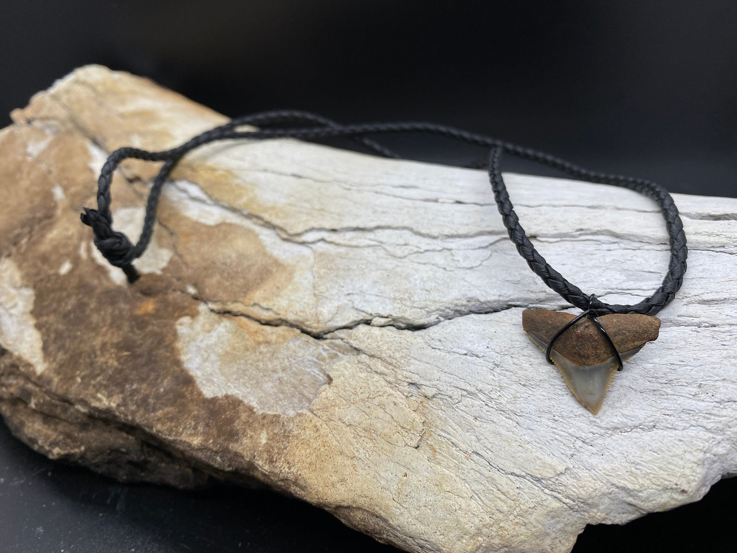 Bull Shark Necklace, Shark Tooth Necklace, Fossil Shark Tooth Necklace