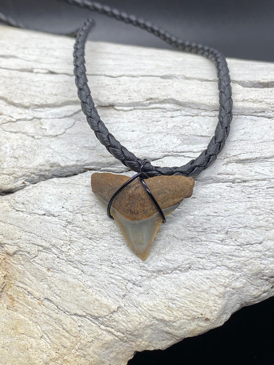 Bull Shark Necklace, Shark Tooth Necklace, Fossil Shark Tooth Necklace