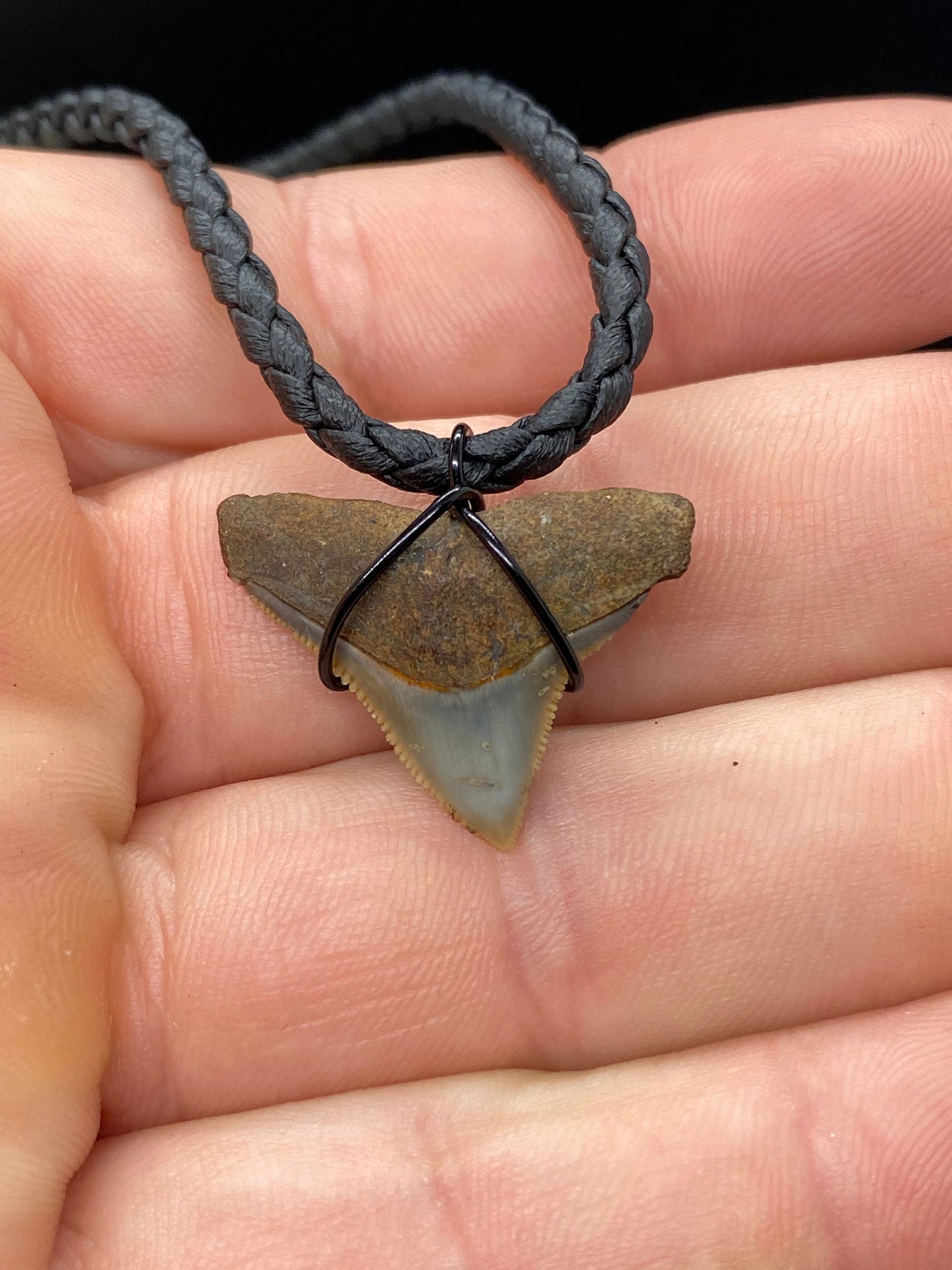 Bull Shark Necklace, Shark Tooth Necklace, Fossil Shark Tooth Necklace