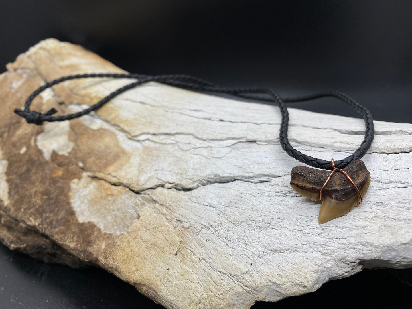 Tiger Shark Necklace, Shark Tooth Necklace, Fossil Shark Tooth Necklace