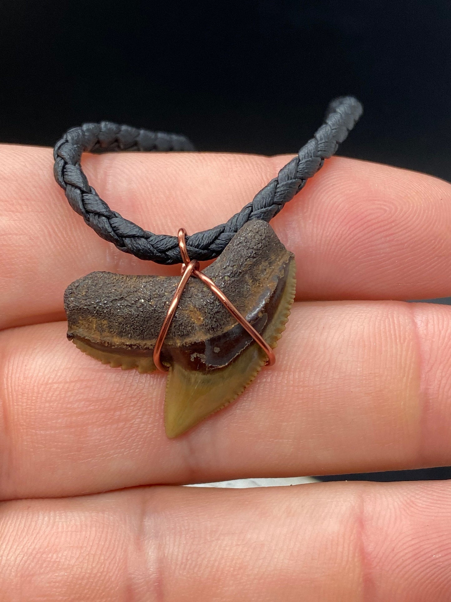 Tiger Shark Necklace, Shark Tooth Necklace, Fossil Shark Tooth Necklace