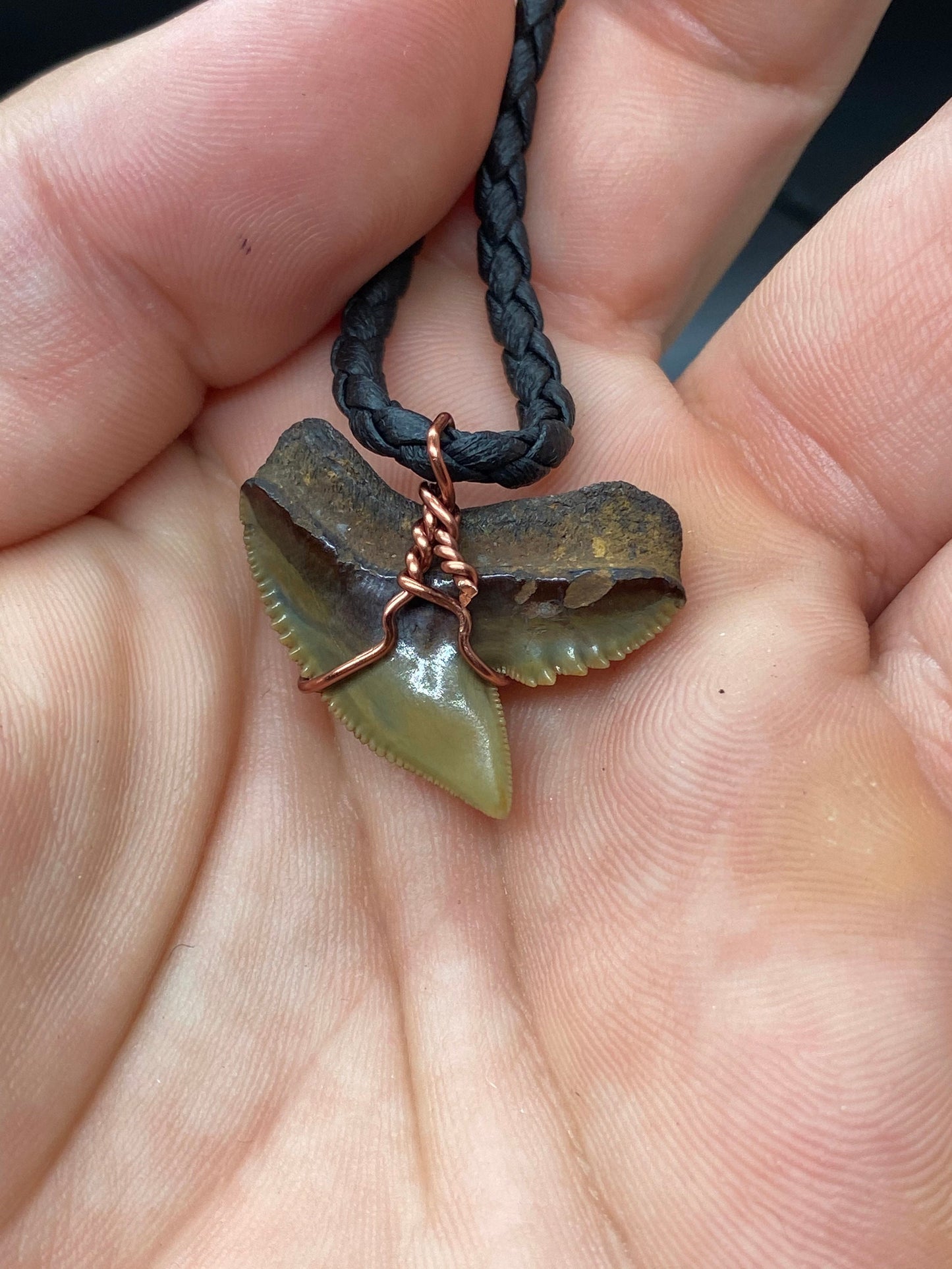Tiger Shark Necklace, Shark Tooth Necklace, Fossil Shark Tooth Necklace