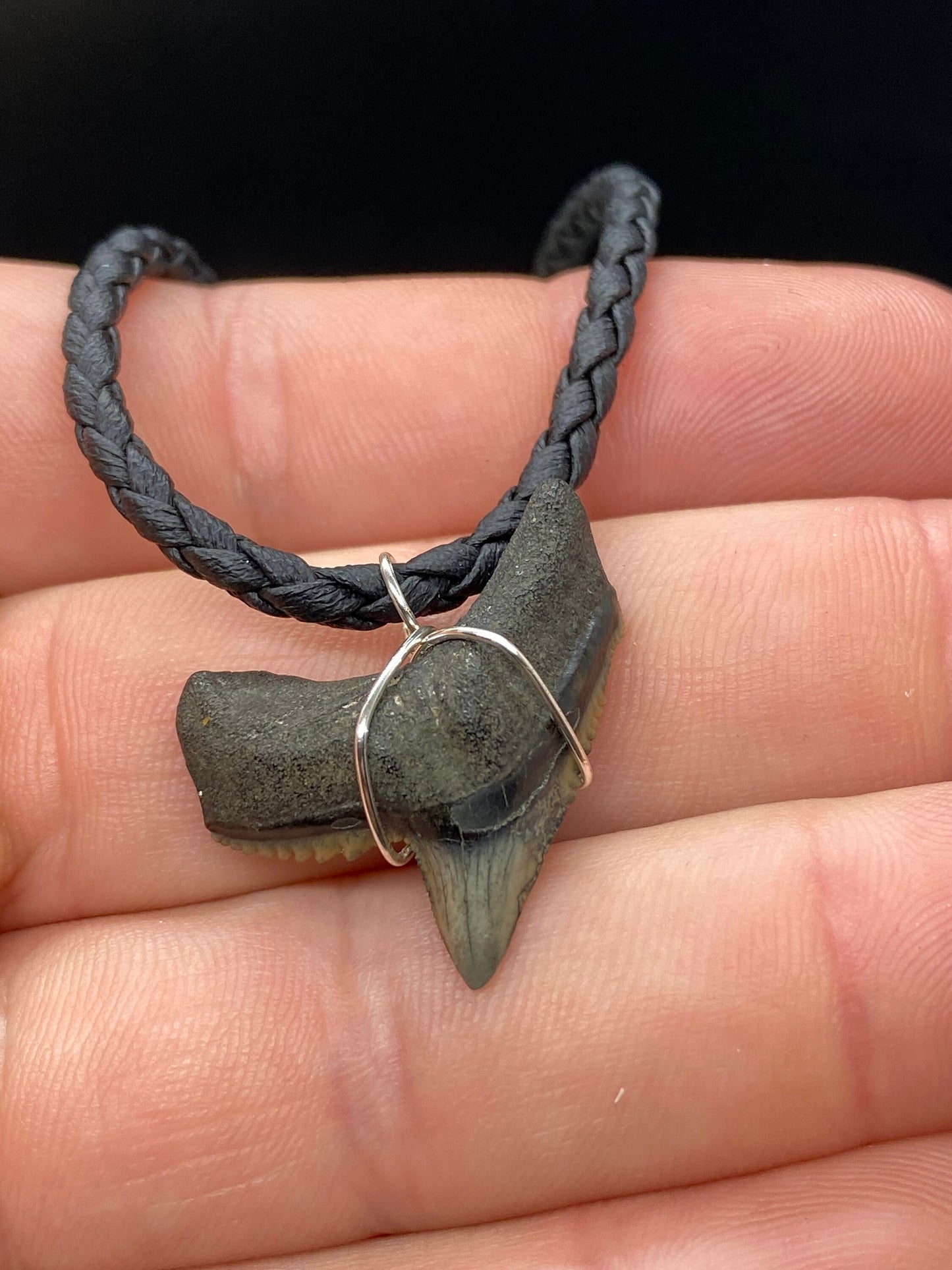 Tiger Shark Necklace, Shark Tooth Necklace, Fossil Shark Tooth Necklace