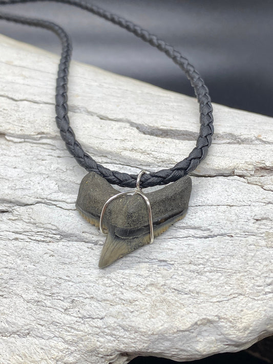 Tiger Shark Necklace, Shark Tooth Necklace, Fossil Shark Tooth Necklace