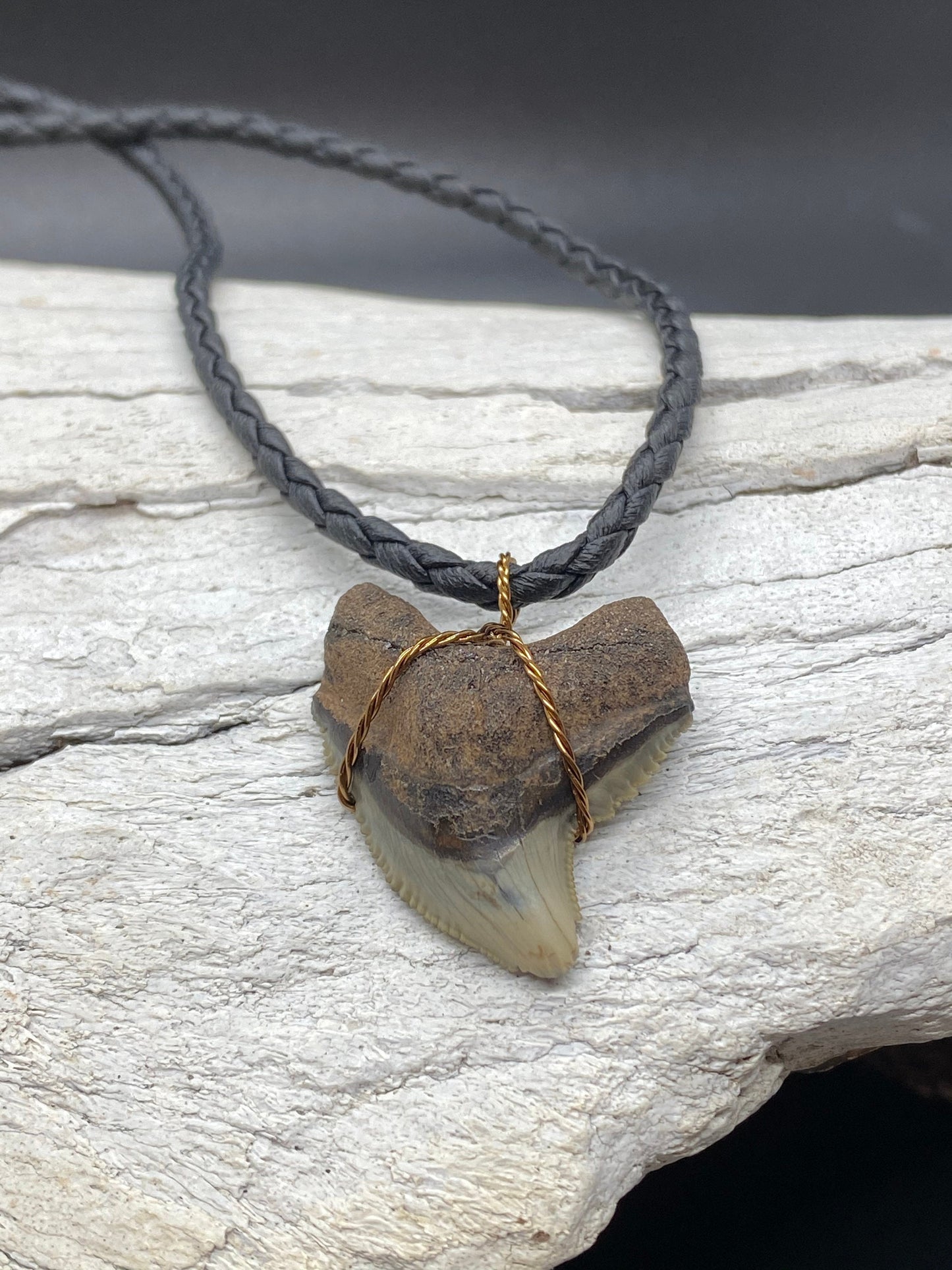 Tiger Shark Necklace, Shark Tooth Necklace, Fossil Shark Tooth Necklace