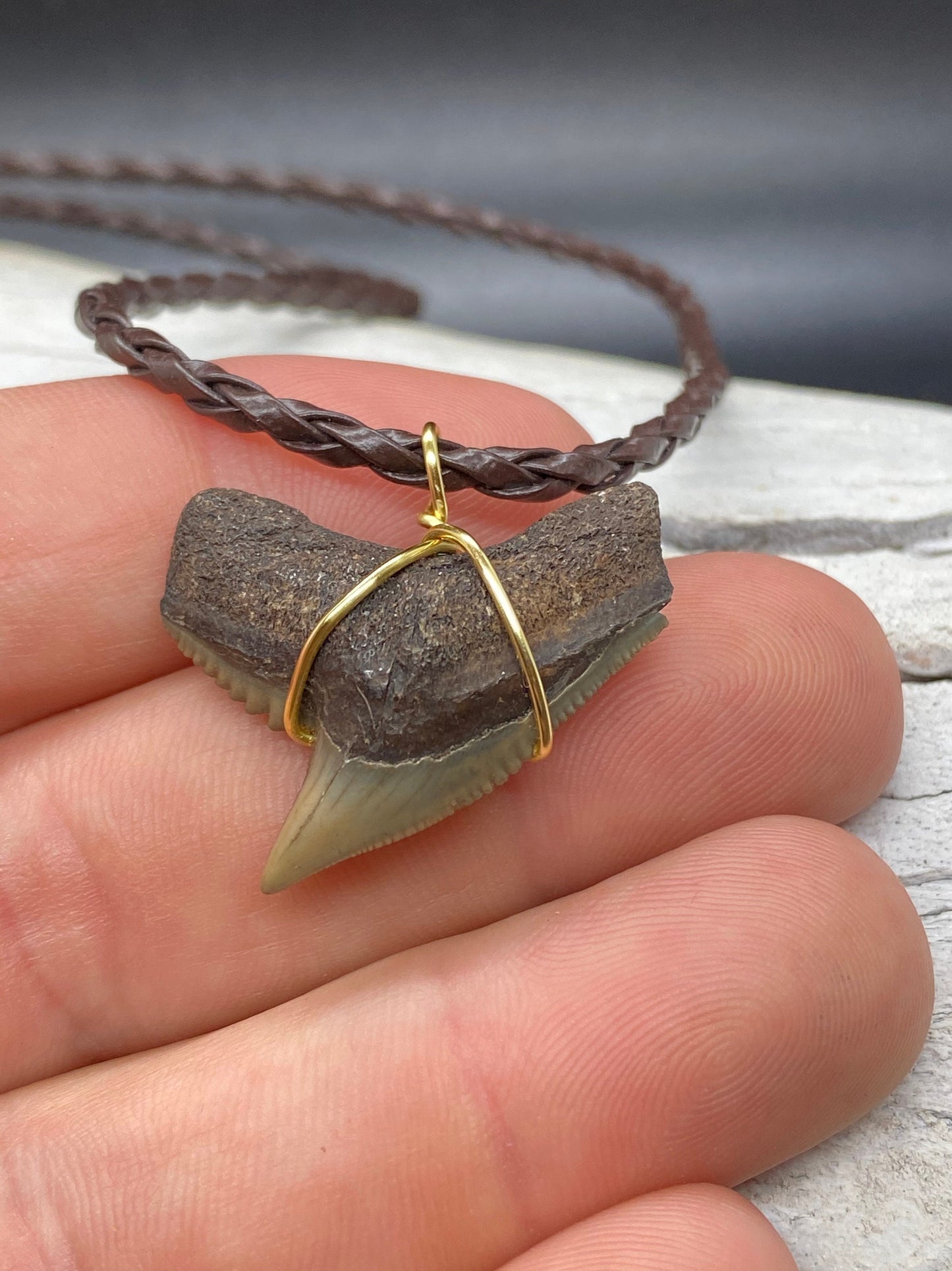 Tiger Shark Necklace, Shark Tooth Necklace, Fossil Shark Tooth Necklace
