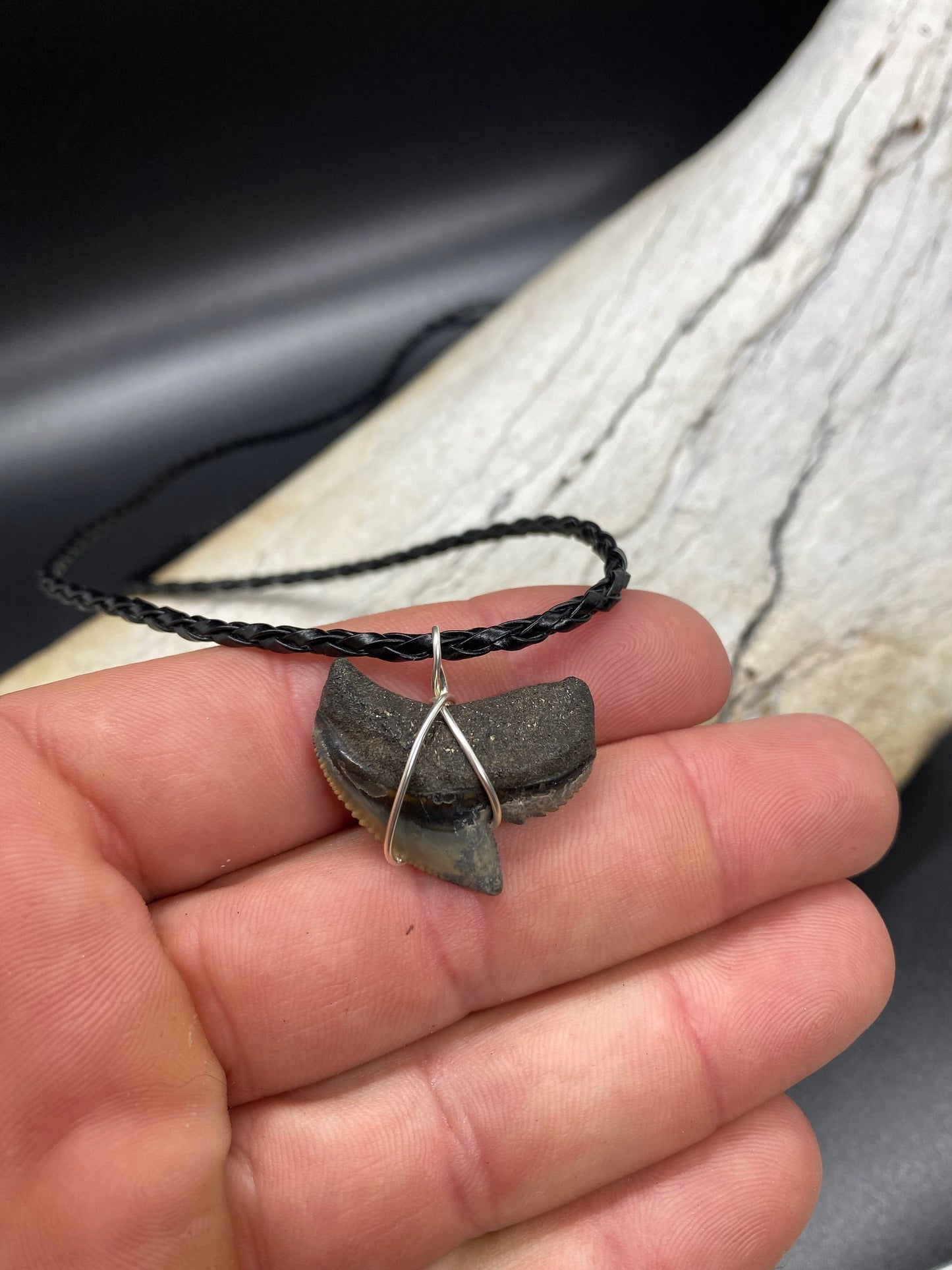 Tiger Shark Necklace, Shark Tooth Necklace, Fossil Shark Tooth Necklace