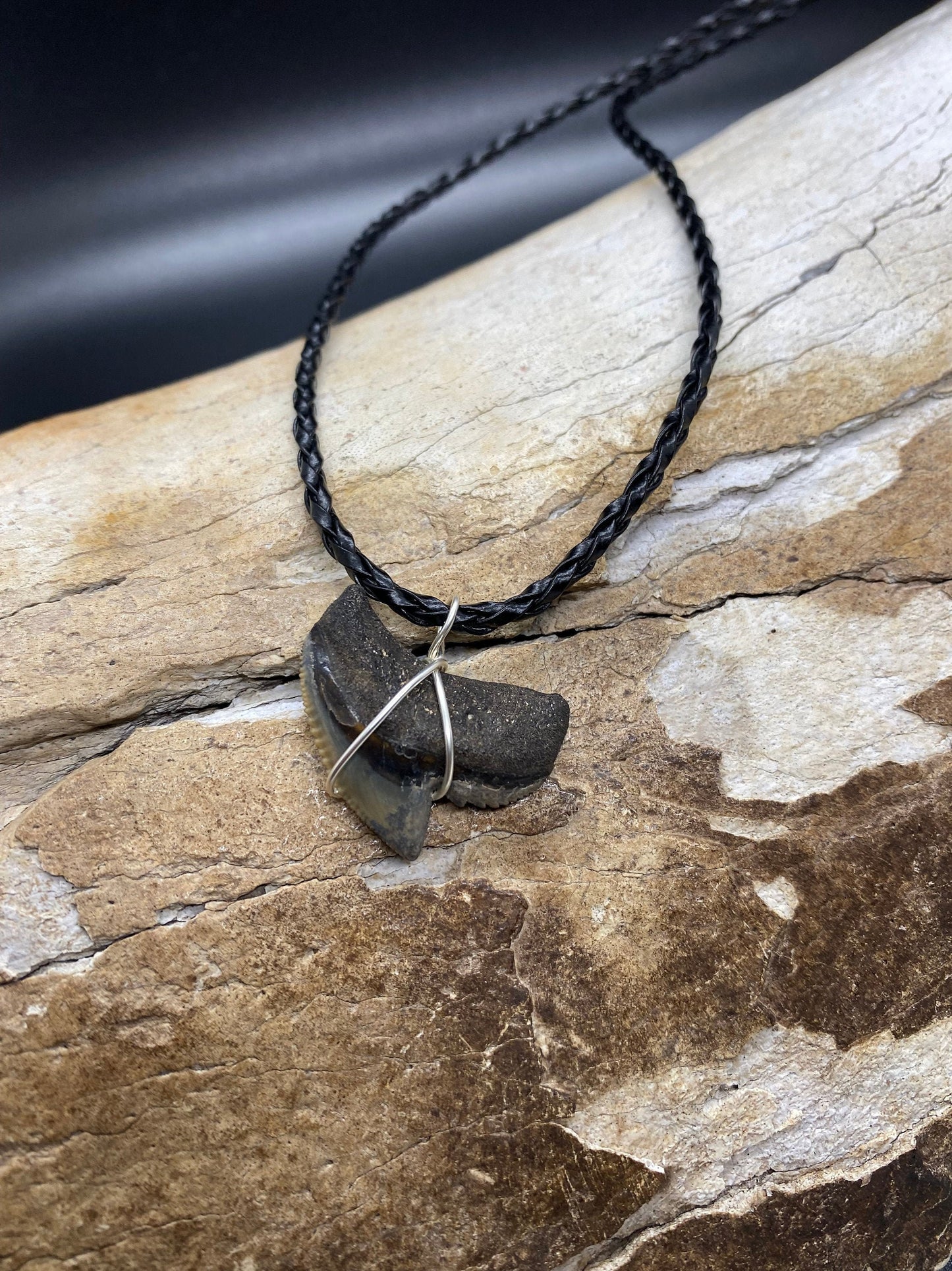 Tiger Shark Necklace, Shark Tooth Necklace, Fossil Shark Tooth Necklace