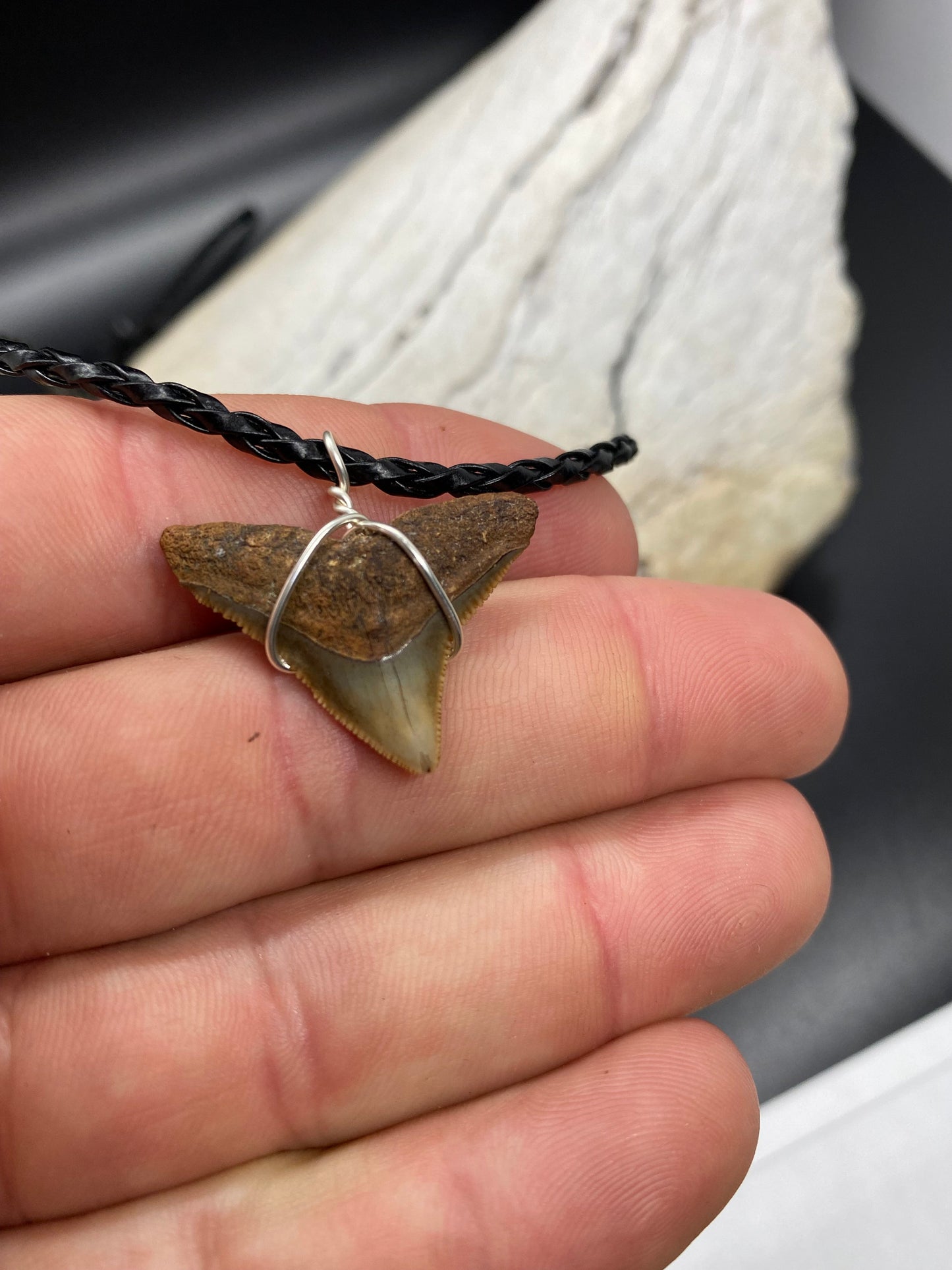 Bull Shark Necklace, Shark Tooth Necklace, Fossil Shark Tooth Necklace