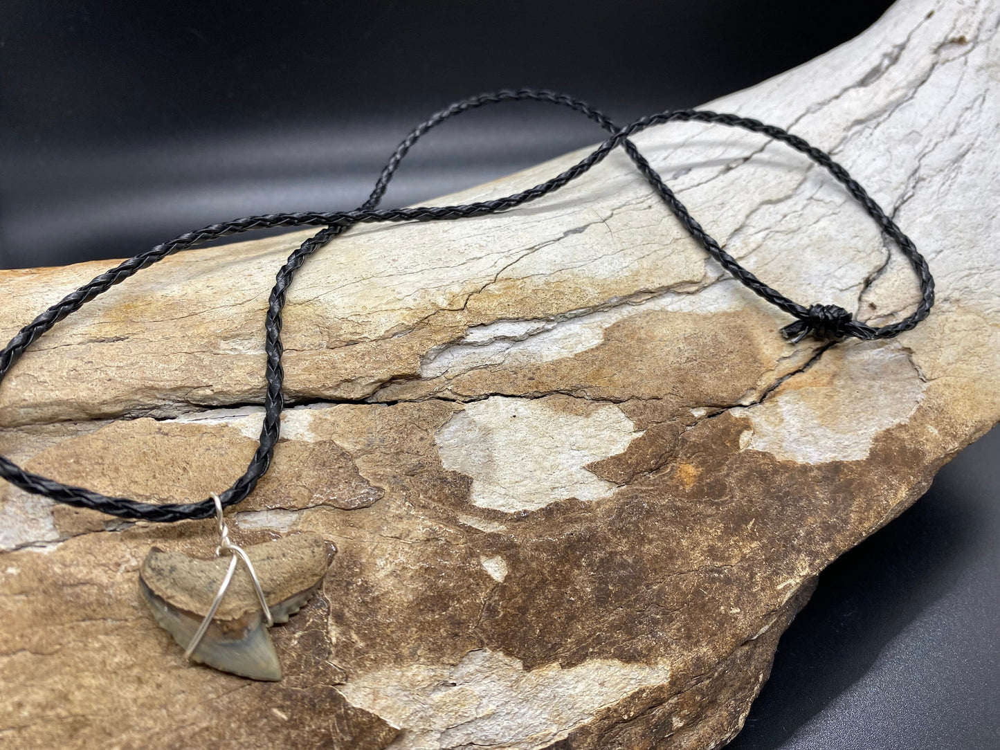Tiger Shark Necklace, Shark Tooth Necklace, Fossil Shark Tooth Necklace