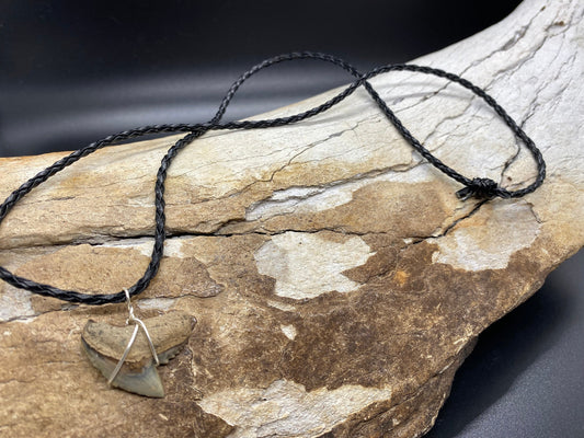 Fossil tiger shark tooth necklace - view 2