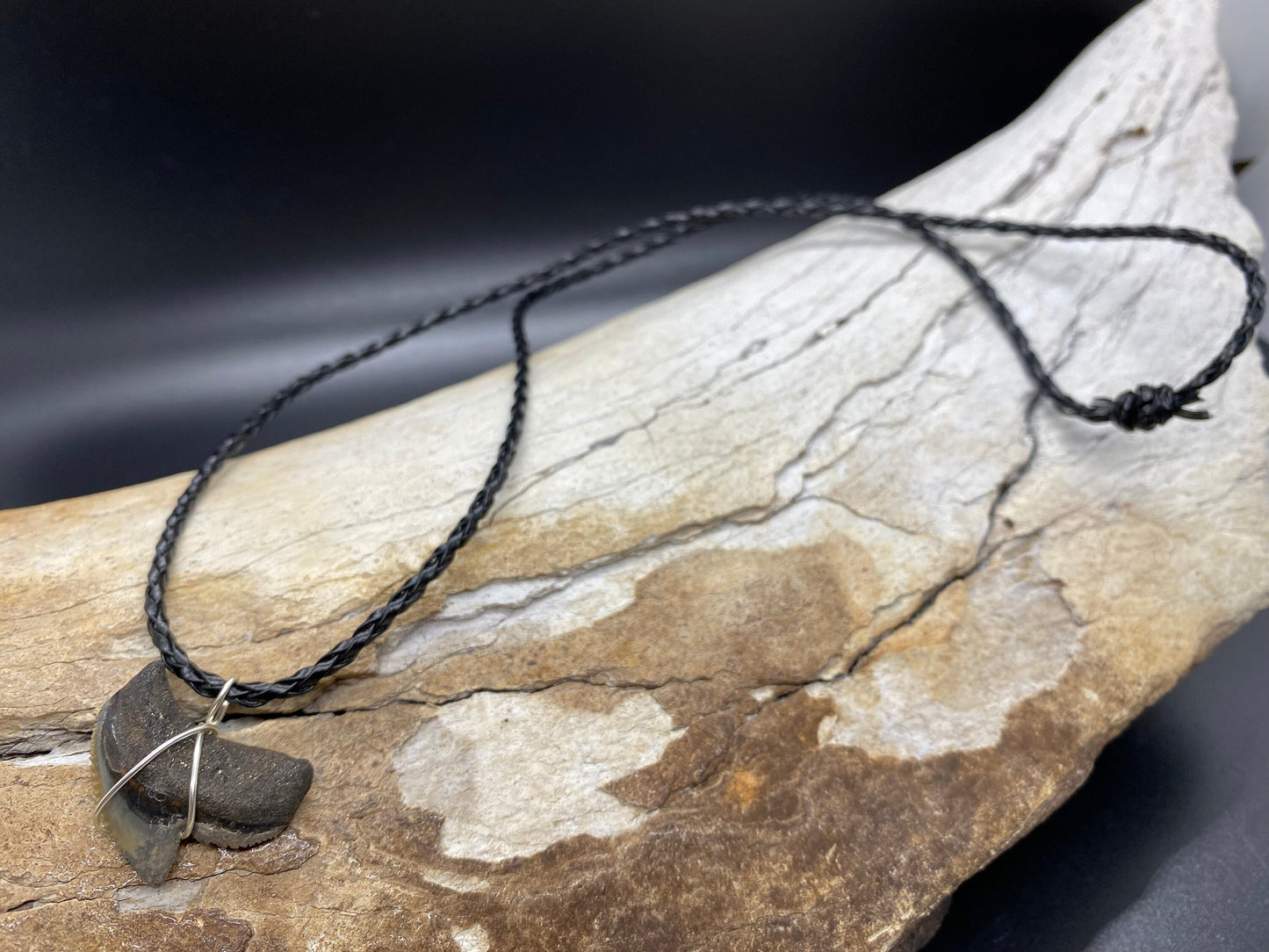 Tiger Shark Necklace, Shark Tooth Necklace, Fossil Shark Tooth Necklace