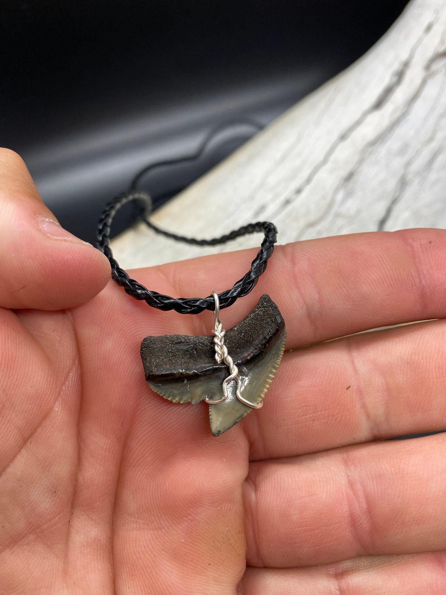 Tiger Shark Necklace, Shark Tooth Necklace, Fossil Shark Tooth Necklace