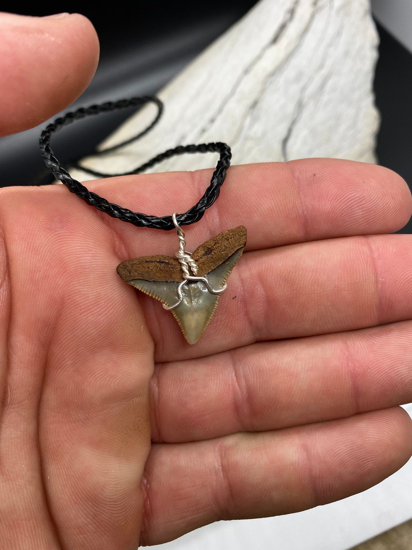 Bull Shark Necklace, Shark Tooth Necklace, Fossil Shark Tooth Necklace