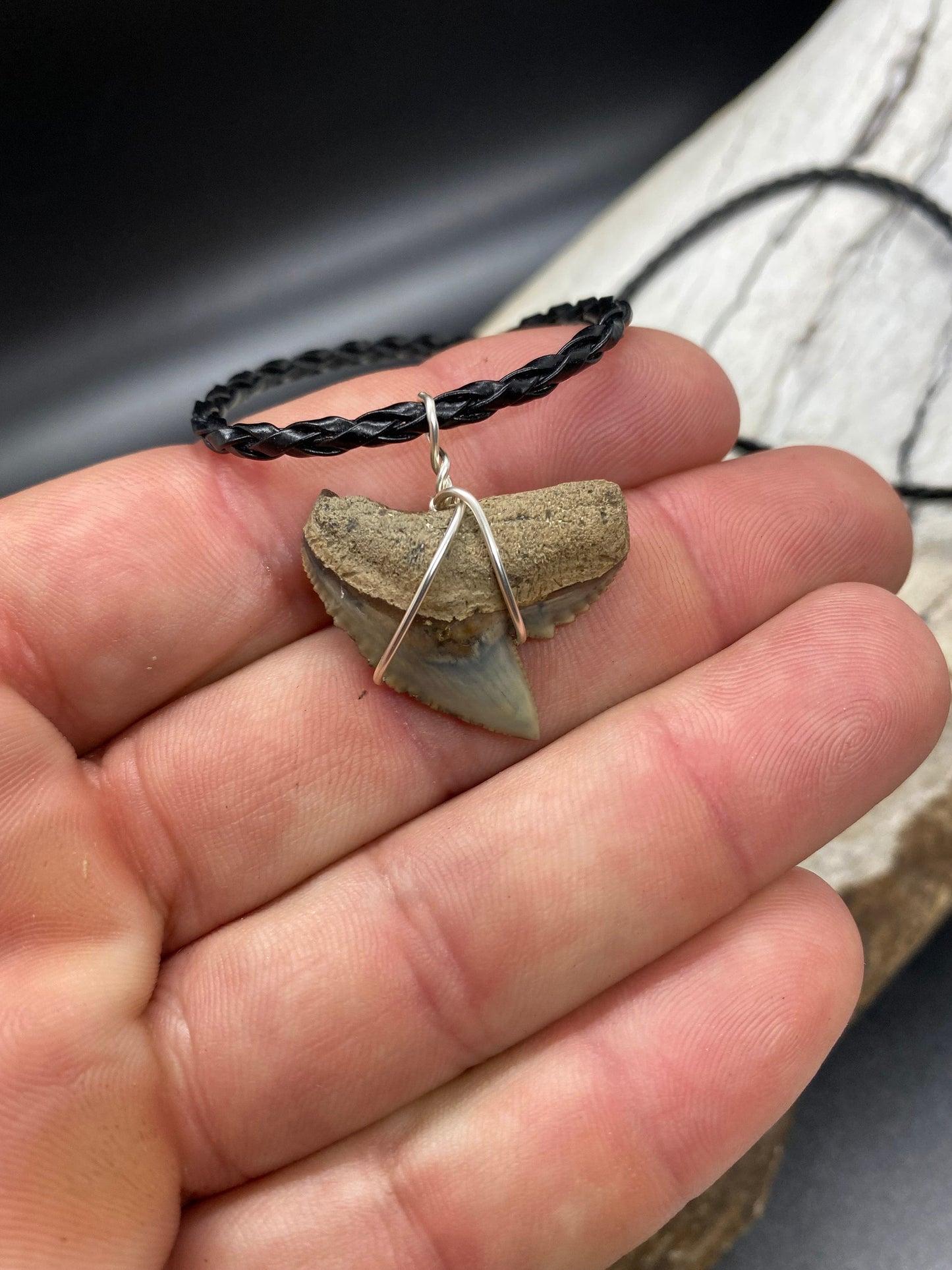 Tiger Shark Necklace, Shark Tooth Necklace, Fossil Shark Tooth Necklace