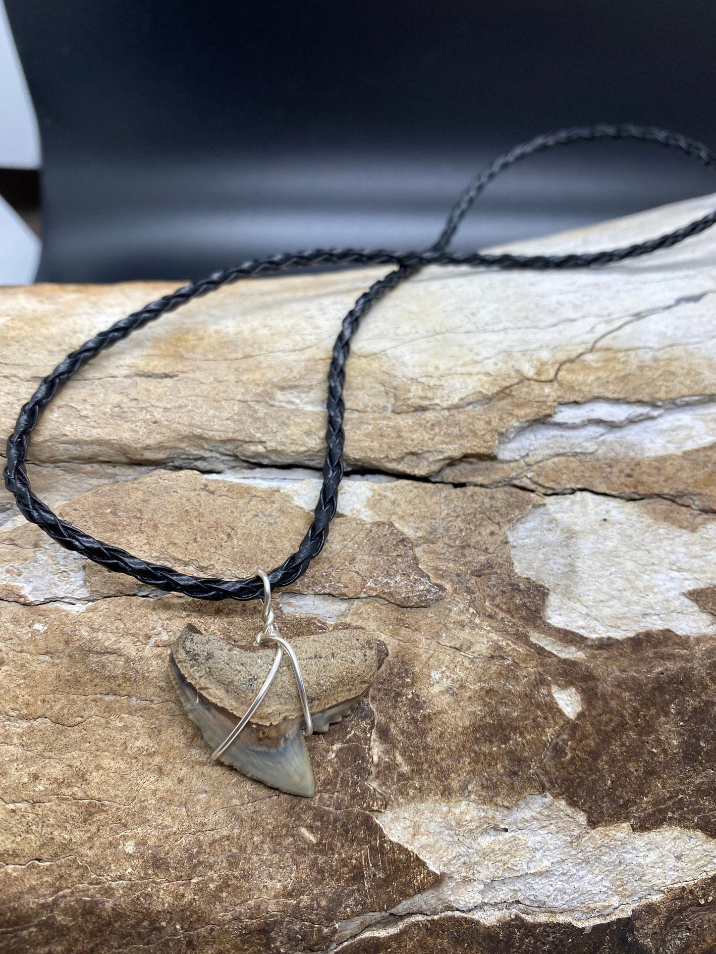 Tiger Shark Necklace, Shark Tooth Necklace, Fossil Shark Tooth Necklace