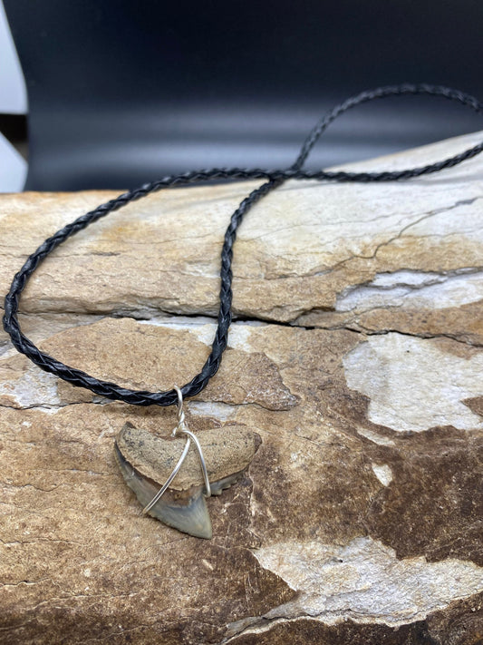 Tiger Shark Necklace, Shark Tooth Necklace, Fossil Shark Tooth Necklace