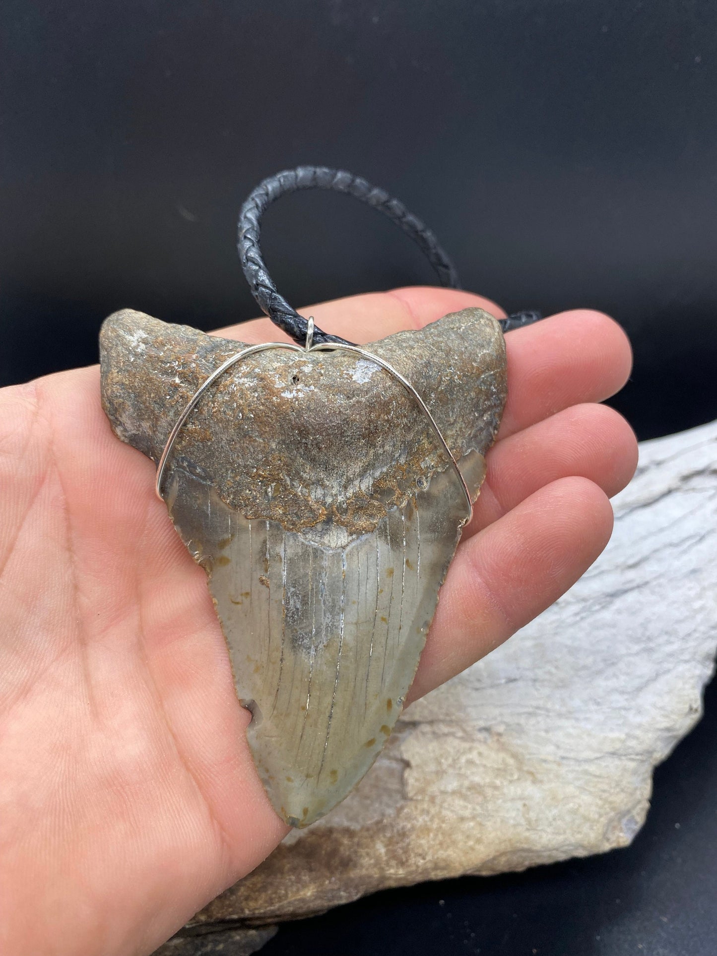 Megalodon Necklace, Megalodon shark tooth Necklace, Fossil Shark Tooth Necklace