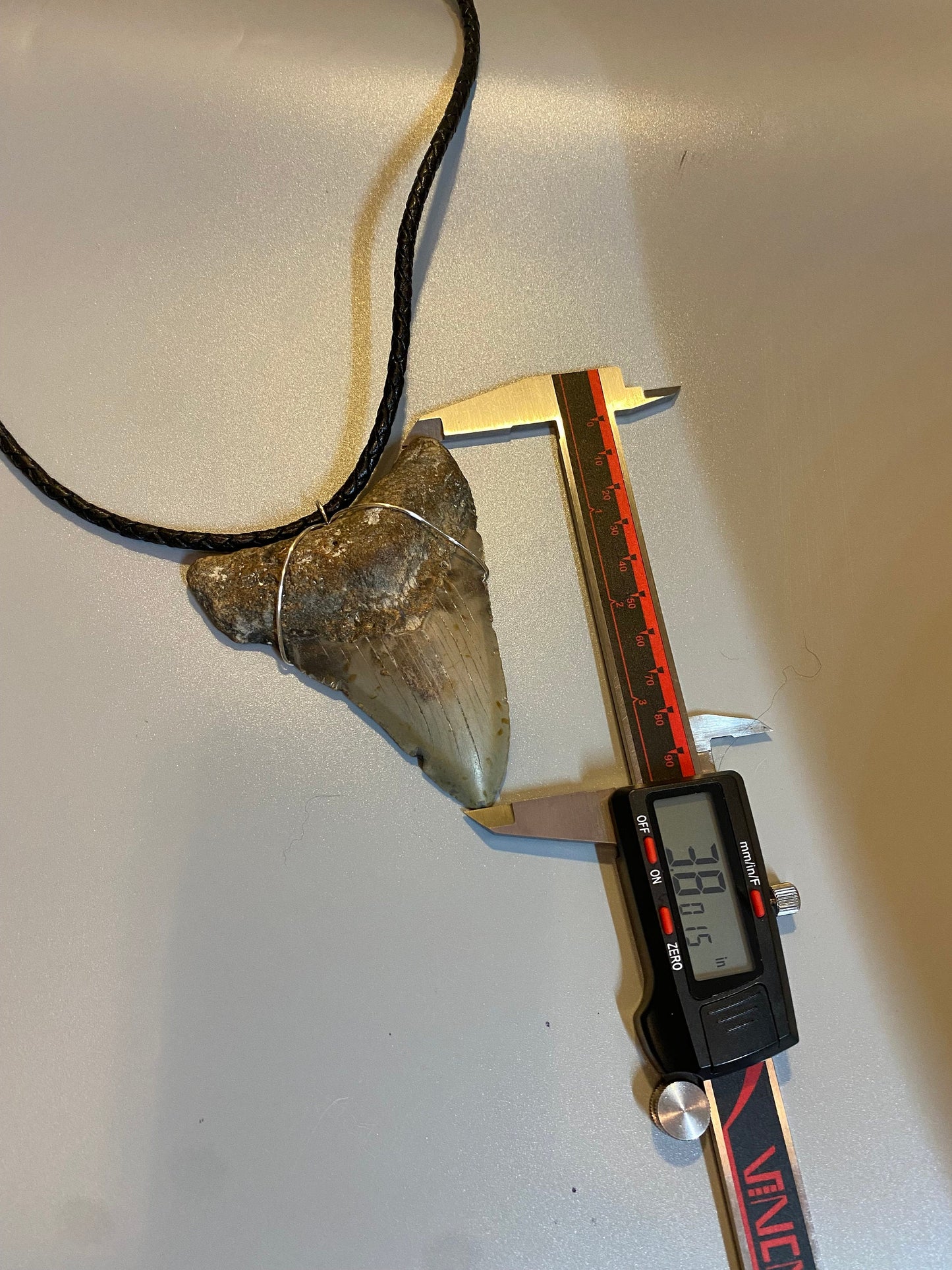 Megalodon Necklace, Megalodon shark tooth Necklace, Fossil Shark Tooth Necklace