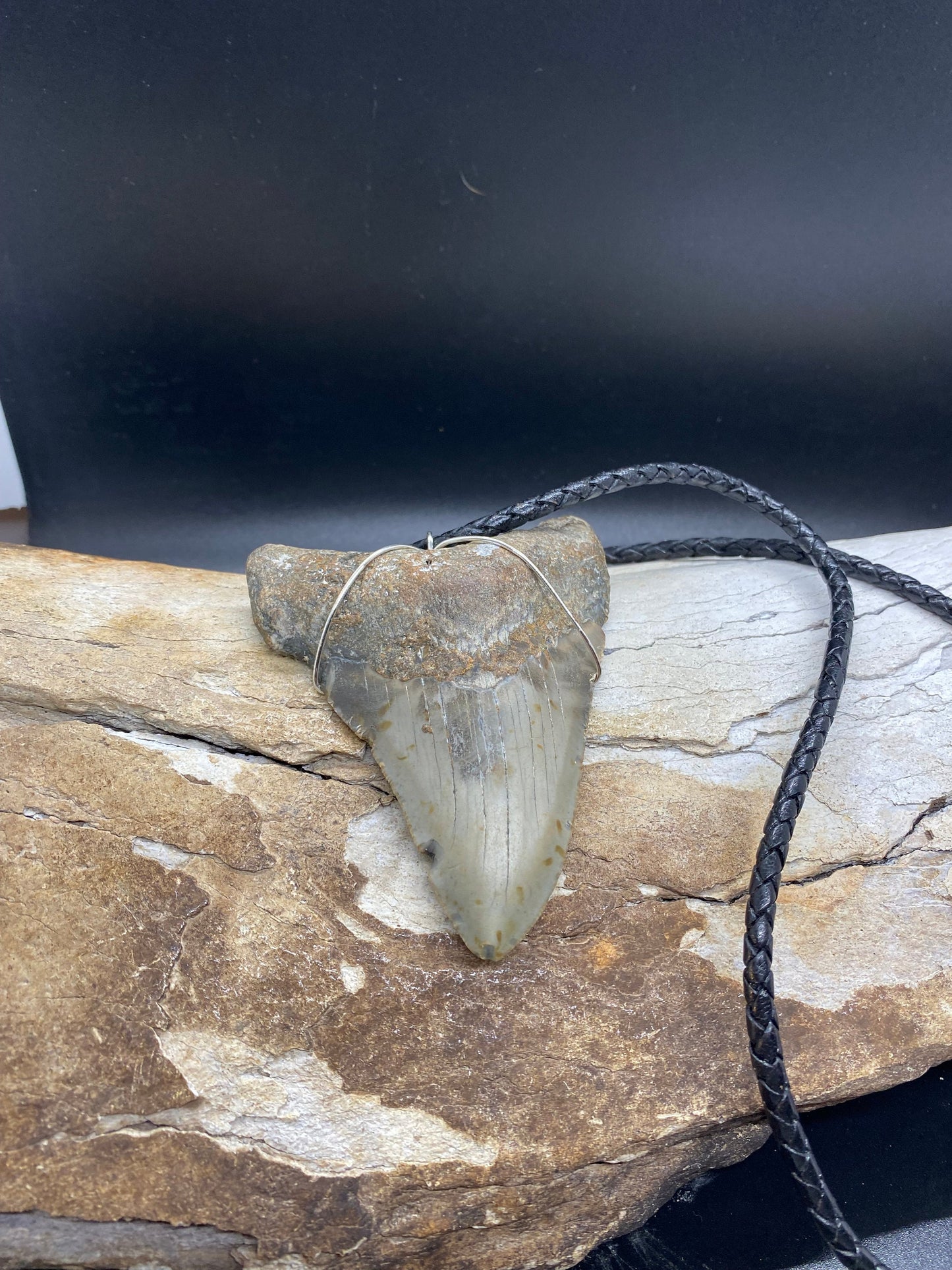 Megalodon Necklace, Megalodon shark tooth Necklace, Fossil Shark Tooth Necklace