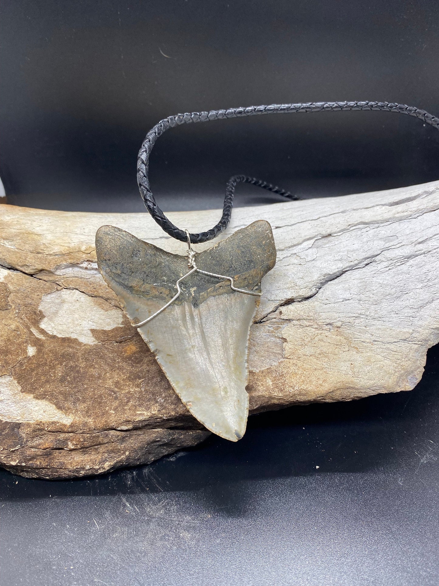 Megalodon Necklace, Megalodon shark tooth Necklace, Fossil Shark Tooth Necklace