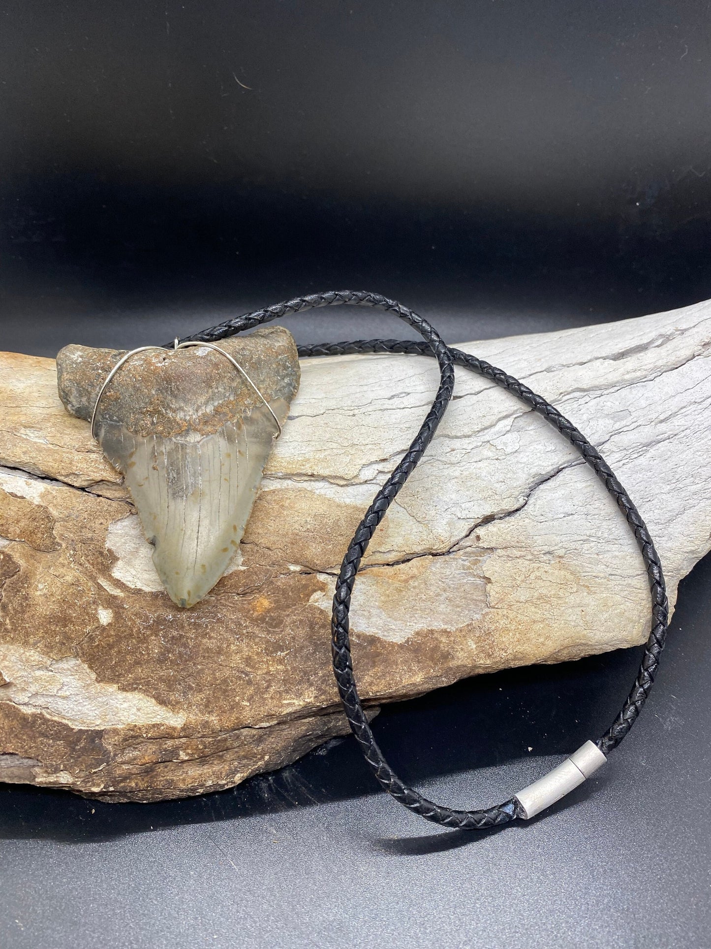 Megalodon Necklace, Megalodon shark tooth Necklace, Fossil Shark Tooth Necklace