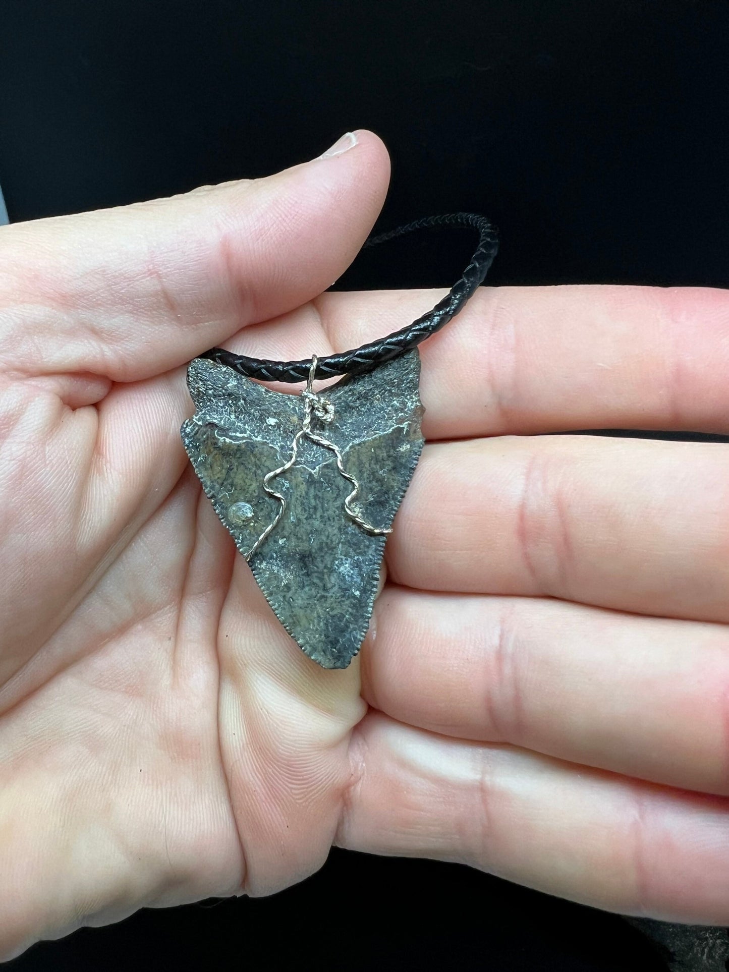 Juvenile Fossilized Megalodon Shark Tooth Necklace 1.8 inches