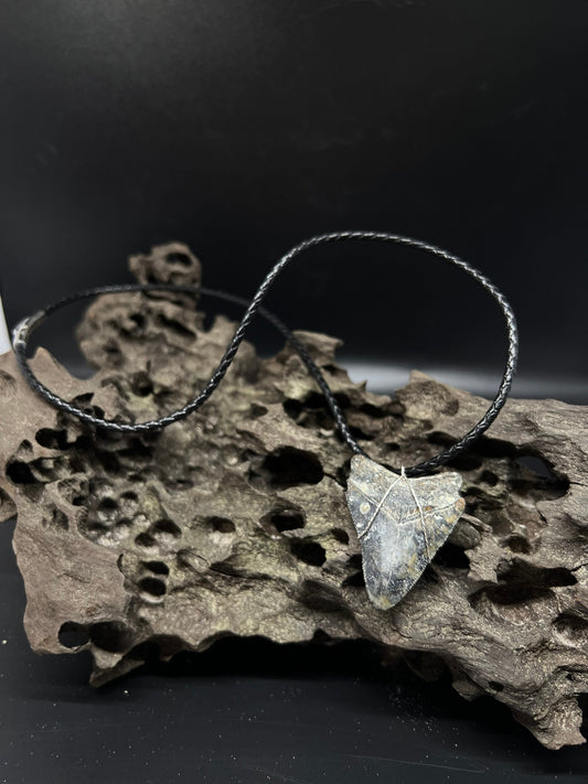 Juvenile Fossilized Megalodon Shark Tooth Necklace 1.8 inches