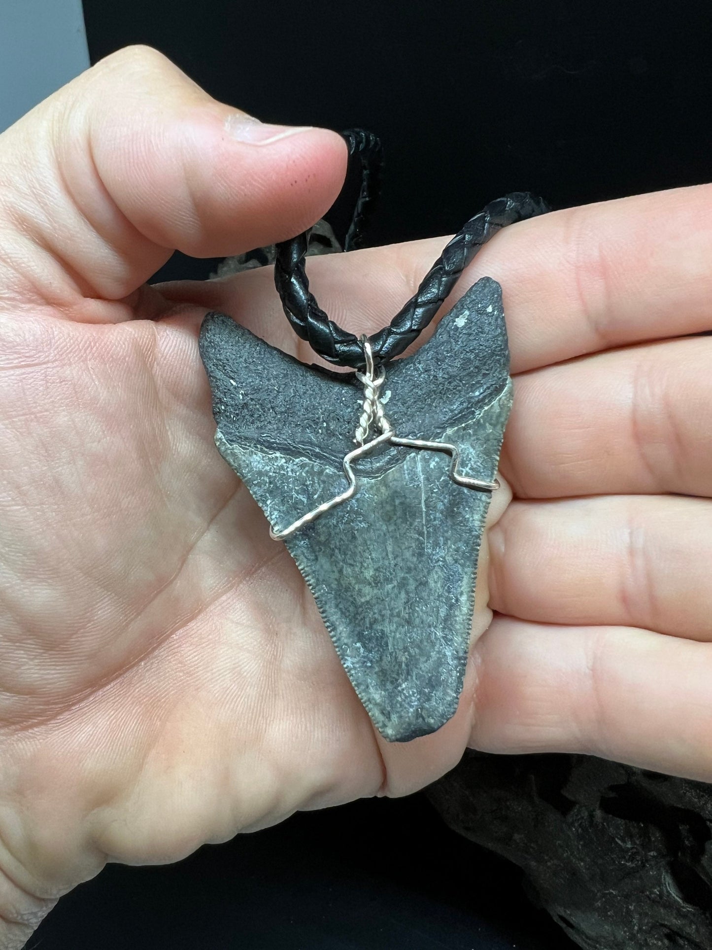 Fossilized Megalodon Shark Tooth Necklace 2.6 inches