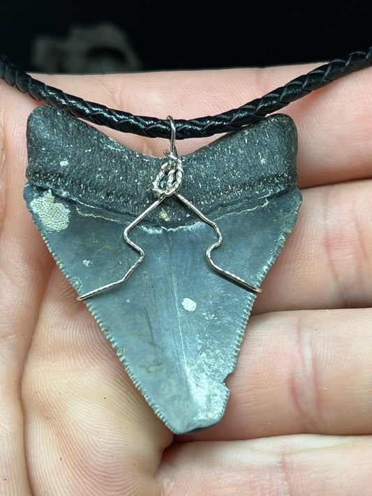 Fossilized Megalodon Shark Tooth Necklace 2.1 inches