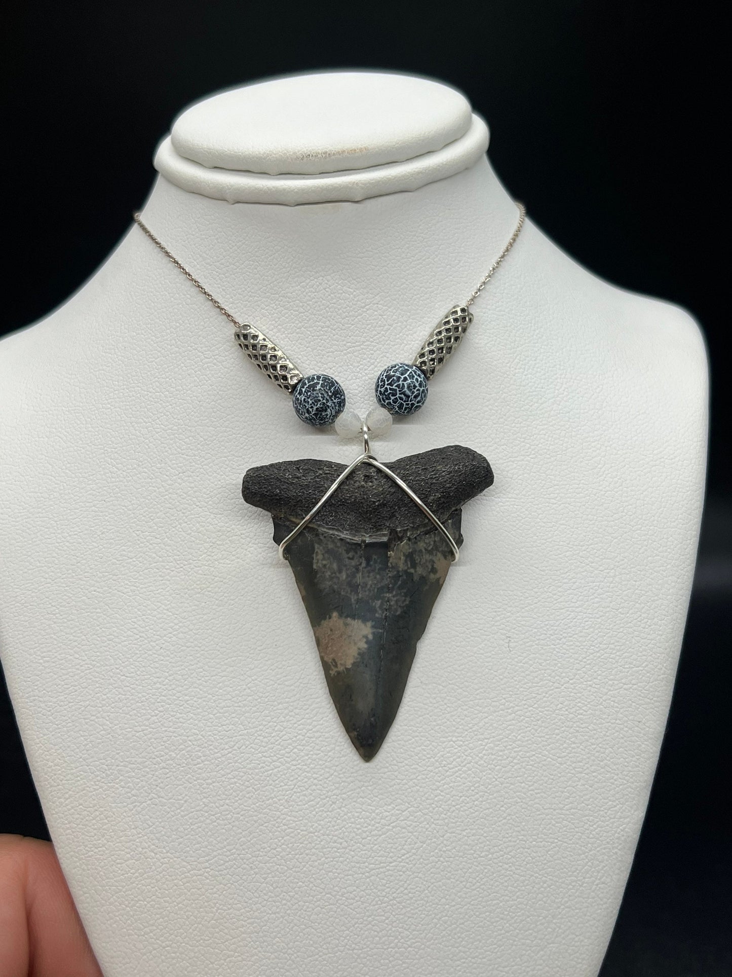 Mako shark tooth necklace, Fossil shark tooth Necklace, Shark tooth Necklace