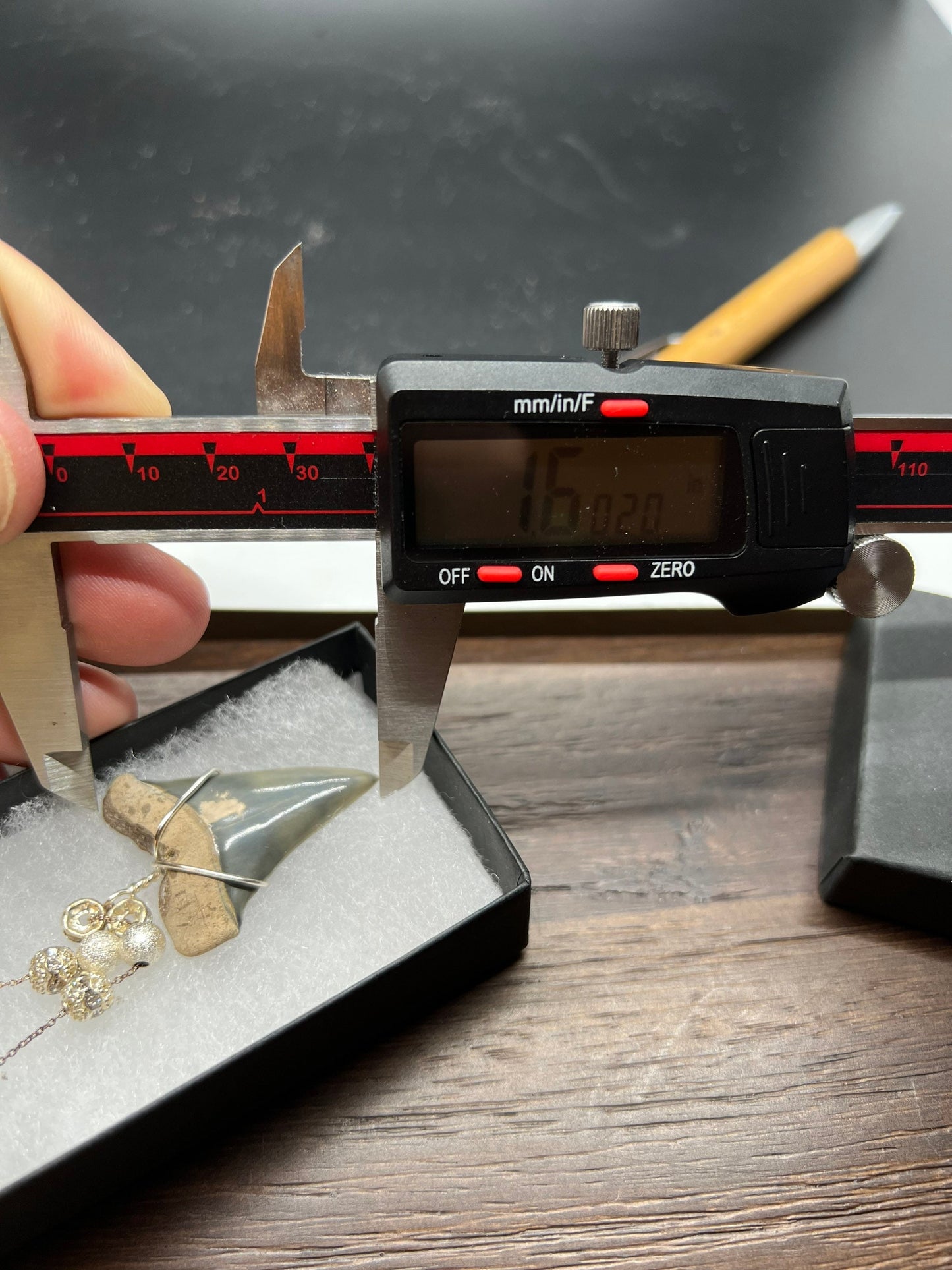 Mako shark tooth necklace, Fossil shark tooth Necklace, Shark tooth Necklace