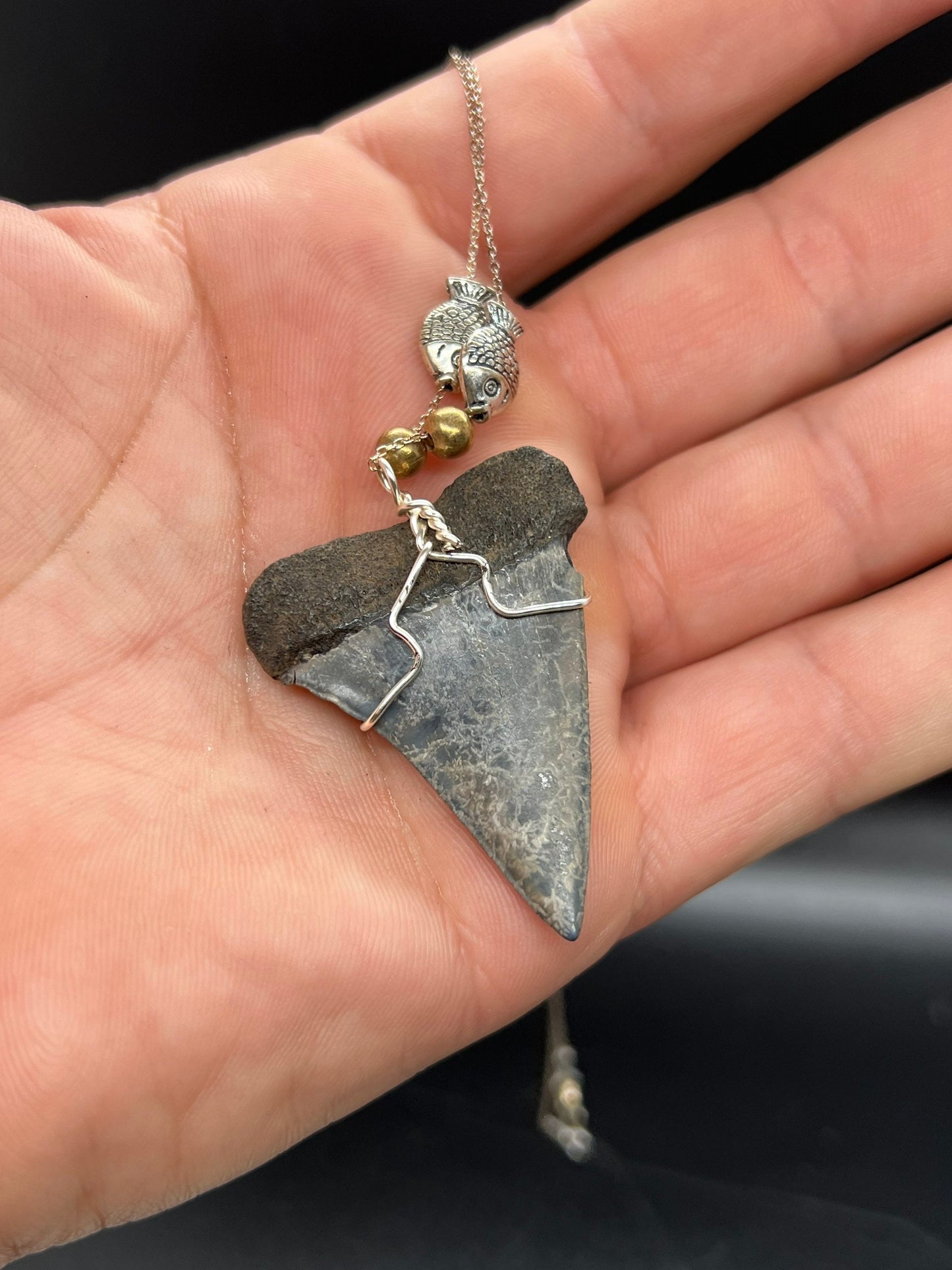 Mako shark tooth necklace silver , Fossil shark tooth Necklace, Shark tooth Necklace