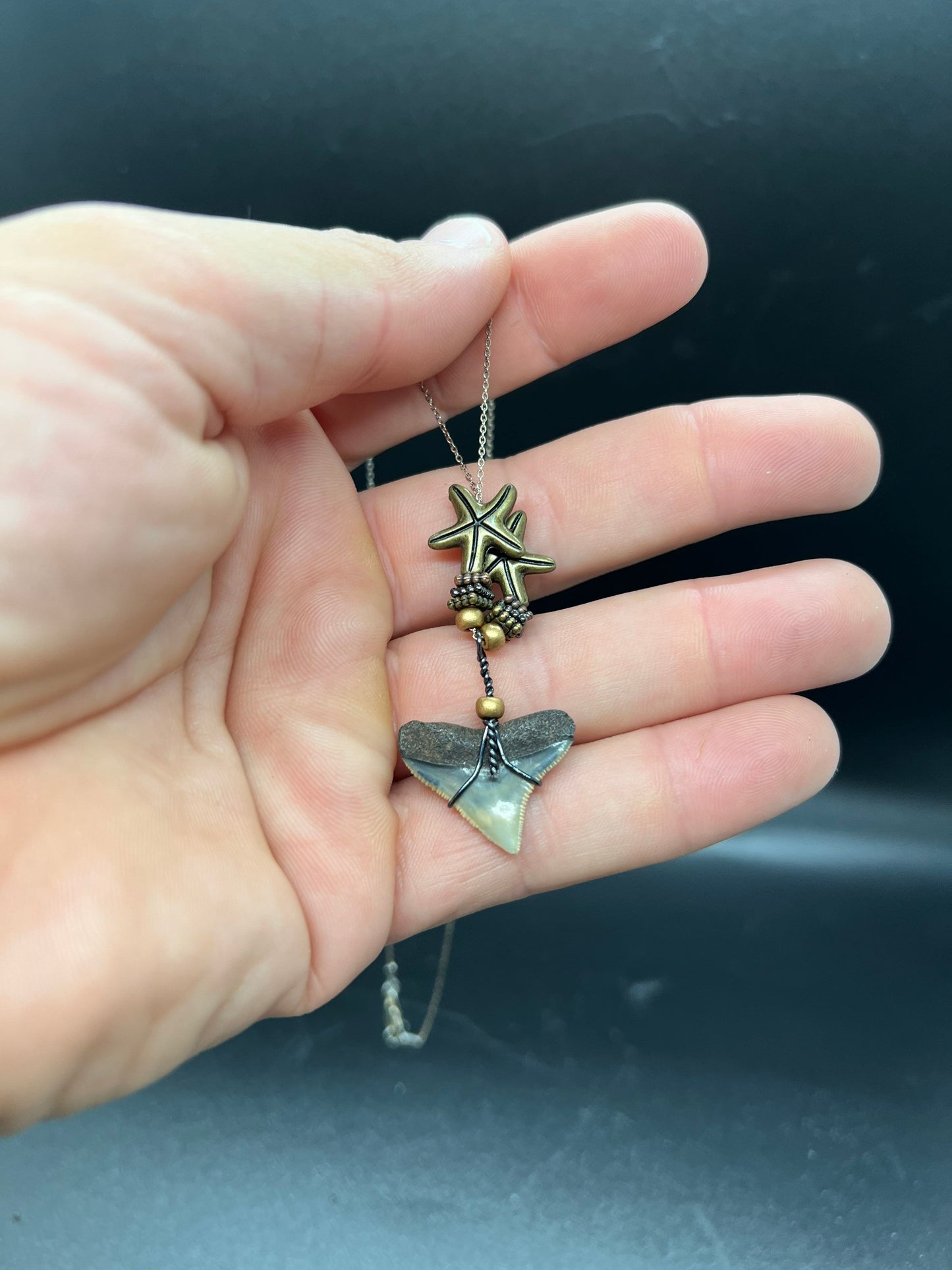 Bull Shark Necklace, Shark Tooth Necklace, Fossil Shark Tooth Necklace