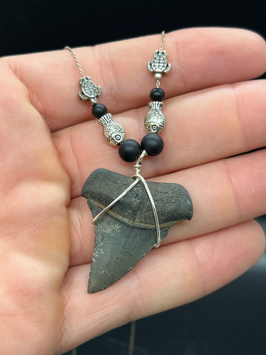 Mako shark tooth necklace, Fossil shark tooth Necklace, Shark tooth Necklace