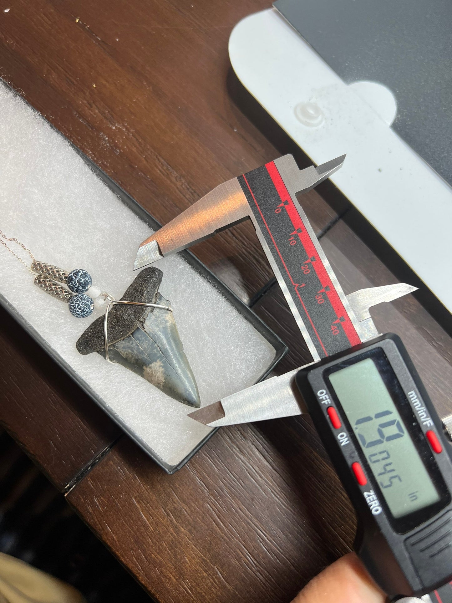 Mako shark tooth necklace, Fossil shark tooth Necklace, Shark tooth Necklace