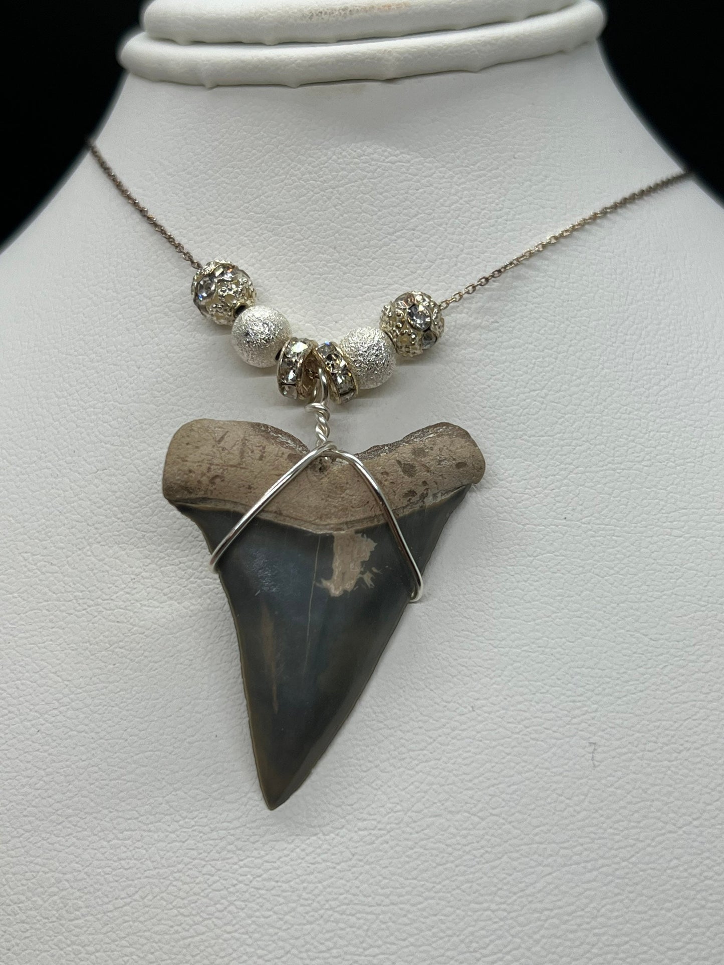 Mako shark tooth necklace, Fossil shark tooth Necklace, Shark tooth Necklace