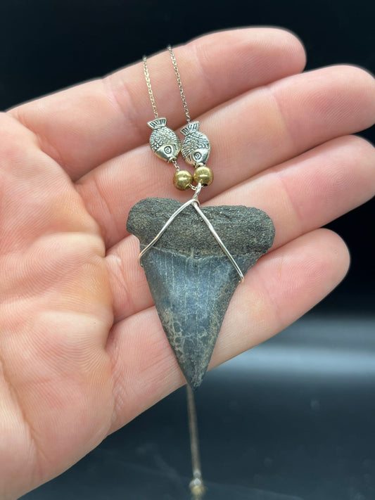 Mako shark tooth necklace silver , Fossil shark tooth Necklace, Shark tooth Necklace