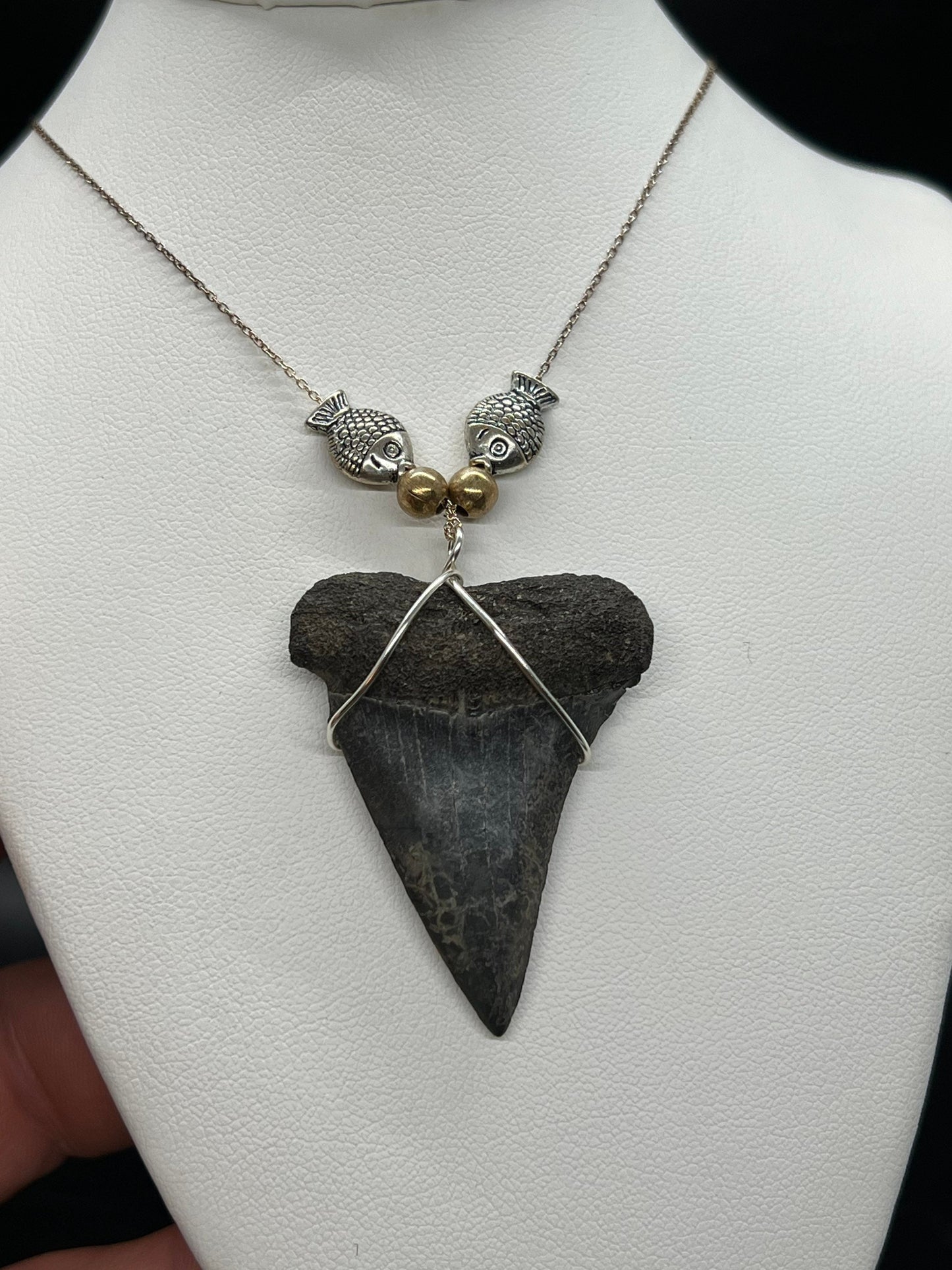 Mako shark tooth necklace silver , Fossil shark tooth Necklace, Shark tooth Necklace